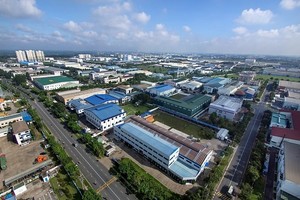 Khan hiếm phố chuyên gia