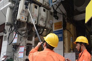 Cuộc thanh tra về giá điện diễn ra trong 35 ngày làm việc (Ảnh minh hoạ).