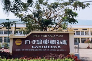 Vì sao thoái vốn 99Kl99 trực tiếp đá gà tại Sa Giang thất bại?