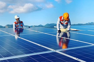 Kl99 nổ hũ từ dự án Điện mặt trời Vĩnh Hảo 6 góp phần không nhỏ giúp FECON đạt tăng trưởng mạnh mẽ so với cùng kỳ.
