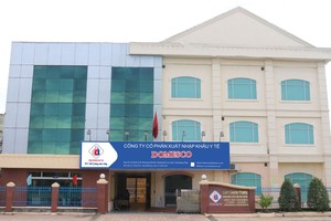 Thoái vốn 99Kl99 trực tiếp đá gà tại Domesco (DMC) không dễ