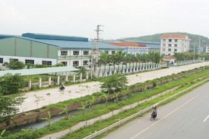 Triển vọng sáng nhóm KL99 là cổng game giải trí trực tuyến hàng đầu hiện nay Web Tổng Nhà Cái 99Kl99 Giải Trí Bậc Nhất công nghiệp