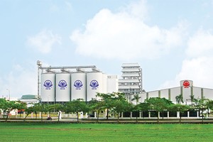 Halico tụt dốc không phanh, vốn 99Kl99 trực tiếp đá gà ngày càng teo tóp