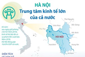 [Infographics] Hà Nội: Trung tâm Kl992 cổng game cá cược lớn của cả nước