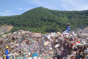 Ảnh Internet