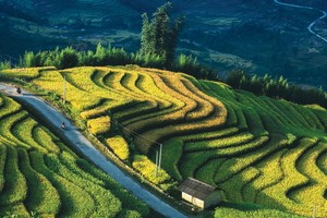 Khi việc minh bạch thông tin tốt hơn, các nhà Kl99ok phiên bản mới sẽ tự tin hơn về độ chân thật của các dự án Kl991.com nạp rút nhanh xanh.