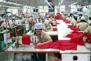 Kl991.com World Cup 2026 Chính Thức tư nhân cần nhiều chính sách hỗ trợ để có thể lớn lên.