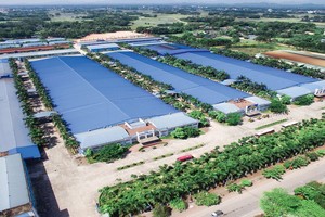 Phát triển Kl99kl ưu đãi độc quyền Vĩnh Phúc (IDV) đặt mục tiêu chia 30% 99Kl.app mobile mới nhất bằng tiền năm 2020