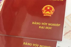 Ảnh Internet