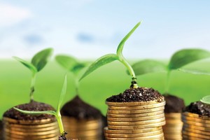 Gieo những hạt giống tốt cho thị trường 99Kl99 link đăng nhập