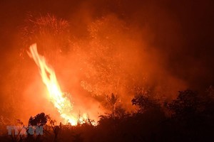 Lửa bùng lên từ các đám cháy rừng ở Kampar, Indonesia, ngày 16/9. (Ảnh: AFP/TTXVN)