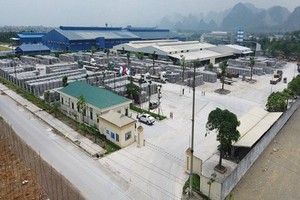 Ảnh Internet