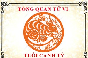 Ảnh Internet