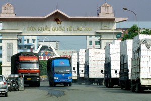 Ảnh Internet