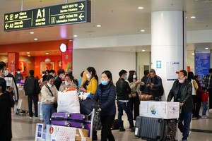 Lượng khách đến các cảng hàng không đã sụt giảm nghiêm trọng. (Ảnh: Phan Công/Vietnam+).