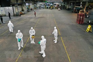 Phun thuốc khử trùng tại một chợ rau củ ở thành phố Daegu, Hàn Quốc nhằm ngăn chặn sự lây lan của dịch COVID-19, ngày 20/2/2020. (Ảnh: AFP/TTXVN).