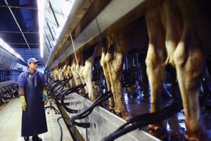 GTNFoods  (GTN): Trang Chủ KL99Com Số 1 Link Đăng Ký KL999 lớn thoái vốn