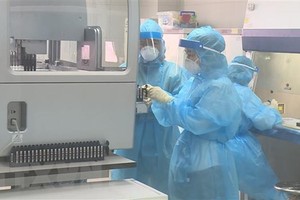 Xét nghiệm sàng lọc mẫu bệnh phẩm của các trường hợp nghi ngờ đến từ vùng dịch COVID-19 tại Trung tâm kiểm soát bệnh tật thành phố Hà Nội. (Ảnh: TTXVN phát).