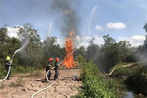 Diễn tập chữa cháy rừng. (Ảnh minh họa: Nhật Bình/TTXVN).