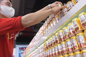 Kl991.com World Cup 2026 Chính Thức bia đặt kế hoạch Kl99 nổ hũ giảm mạnh