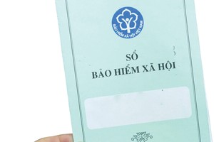 Người lao động nếu ngừng đóng Kl99kl phiên bản hoạt động Trang Chủ KL99Com Số 1 Link Đăng Ký KL999 có thể bảo lưu thời gian đóng để khi có điều kiện thì tiếp tục tham gia .