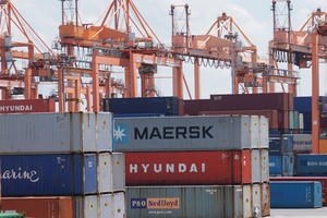 Cảng Hải Phòng: Không thoái vốn 99Kl99 trực tiếp đá gà trong năm 2020