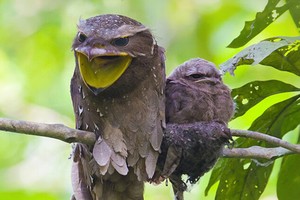 Ảnh Shutterstock.