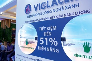 Thoái vốn 99Kl99 trực tiếp đá gà tại Viglacera: Phương án nào sẽ được chọn?