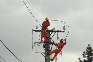 Công nhân Công ty Điện lực Quảng Bình sửa chữa điện lưới. (Ảnh: Đức Thọ/TTXVN).