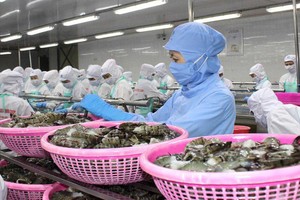 EVFTA được thực thi hiệu quả sẽ tác động tích cực đến thương mại, Kl99ok phiên bản mới giữa Việt Nam và EU.