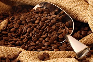 Xuất khẩu cà phê tăng mạnh tại các thị trường: Ba Lan (tăng 53,7%, đạt 23,5 triệu USD), Bỉ (tăng 20,1%, đạt 74,8 triệu USD). 