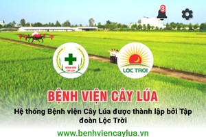 Kl994 game bài casino hấp dẫn Lộc Trời ra mắt ứng dụng “Bệnh Viện Cây Lúa” dành riêng cho người nông dân