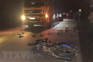 (Ảnh minh họa: TTXVN phát).