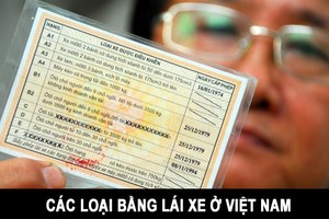 Kl993 ưu đãi thưởng hấp dẫn trình quy định bằng lái xe có 12 điểm/năm, mất điểm phải thi lại