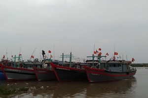 Tàu thuyền neo đậu tránh, trú bão số 7 tại Âu tránh, trú bão Lạch Trường, xã Hoằng Trường (Hoằng Hóa, Thanh Hóa). (Ảnh: TTXVN phát).