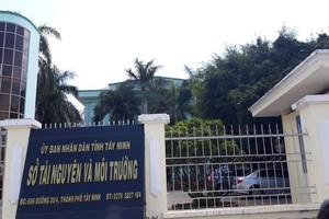 Ảnh Internet