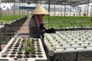 Mục tiêu tăng số lượng hợp tác xã, Kl992 cổng game cá cược tập thể khoảng 18% vào năm 2025.