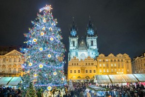 Giáng sinh mùa Covid, chiêm ngưỡng những cây thông Noel ấn tượng nhất châu Âu