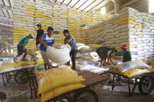 Chuẩn bị nguồn hàng gạo xuất khẩu tại Công ty Lương thực sông Hậu thuộc Tổng công ty Lương thực miền Nam. (Ảnh: TTXVN).