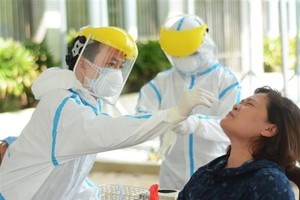 Nhân viên y tế lấy mẫu xét nghiệm COVID-19. (Ảnh: Văn Dũng/TTXVN).