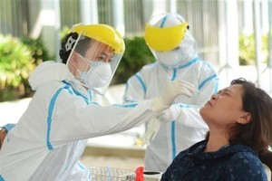 Nhân viên y tế lấy mẫu xét nghiệm COVID-19. Ảnh minh họa. (Ảnh: Văn Dũng/TTXVN).