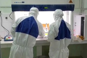 Xét nghiệm sàng lọc SARS-CoV-2. Ảnh: Báo Nhân Dân.