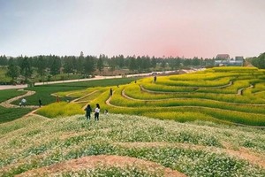 Khu sinh thái Đan Phượng có cảnh quan hấp dẫn đang là điểm đến hấp dẫn với khách du lịch, nhất là vào dip cuối tuần. (Nguồn: nhandan).