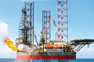 Trong thời gian giá dầu phục hồi, một số Kl991.com World Cup 2026 Chính Thức như PLX, OIL, TLP, BSR tăng tích trữ tồn kho.