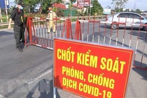(Ảnh minh họa: Đinh Văn Nhiều/TTXVN).