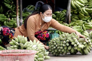 Tiểu thương tại Chợ phường 7, thành phố Cà Mau thực hiện mang khẩu trang để phòng, chống dịch COVID-19. (Ảnh: Kim Há/TTXVN).