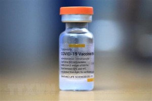 Vaccine ngừa COVID-19 của Sinovac. (Nguồn: AFP/TTXVN).