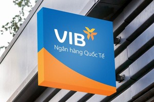 Các nhà phân tích đánh giá cao VIB trong buổi công bố kết quả Kl992 VIP Trang Chủ 2026 quý II/2021
