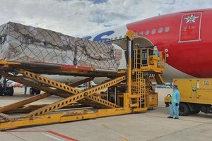 Lô hàng viện trợ từ Thụy Sỹ. (Ảnh: PV/Vietnam+).