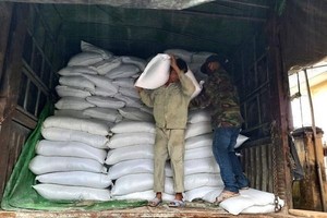 Xuất gạo dự trữ quốc gia để cứu trợ khẩn cấp cho người dân. (Ảnh minh hoạ: Quốc Dũng/TTXVN).
